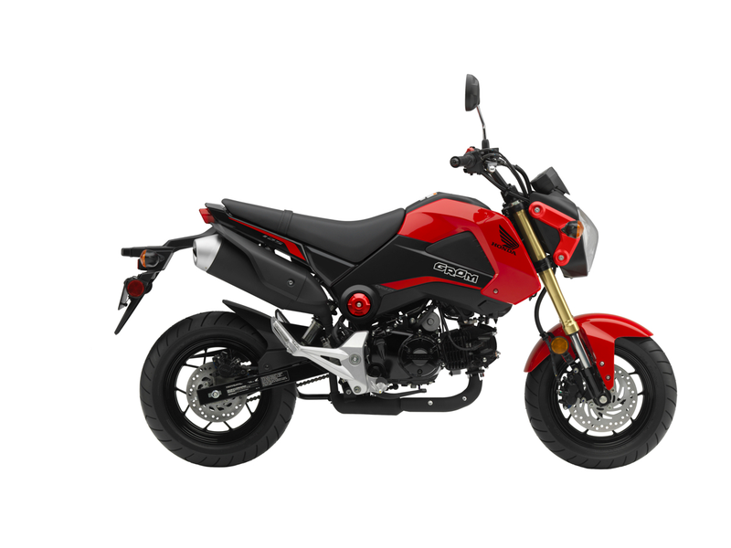 Illustration for article titled This Is Your Very Important Honda Grom Announcement Of The Day